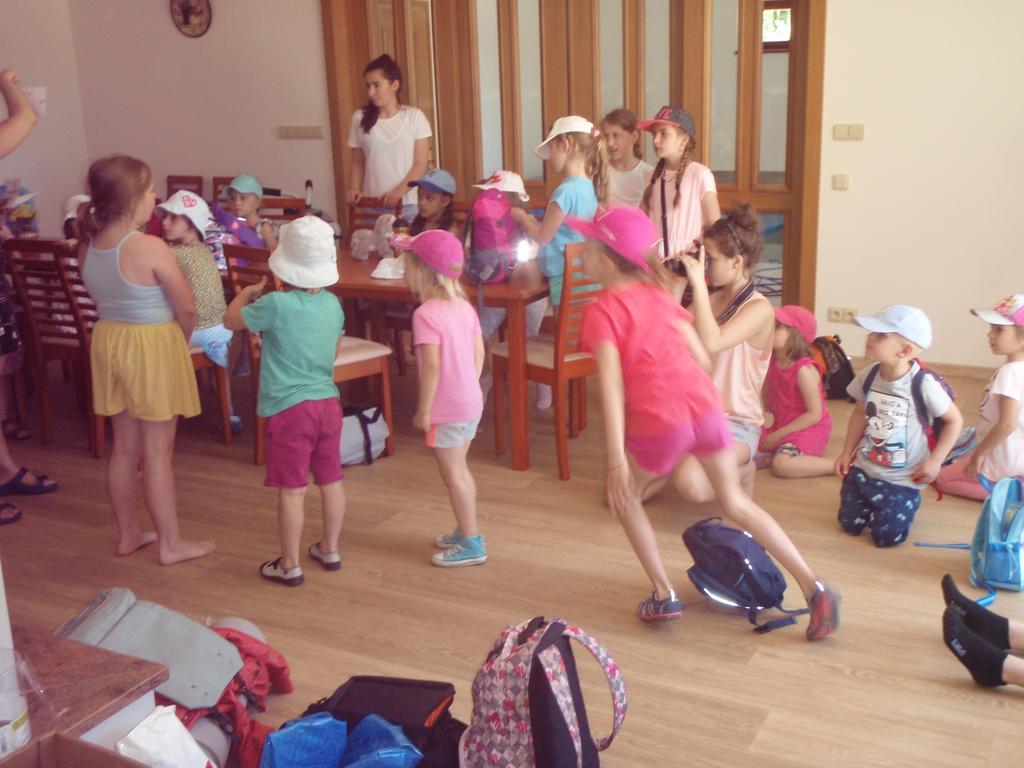 Penzion U Blatce Hotel Nove Hrady  Bagian luar foto
